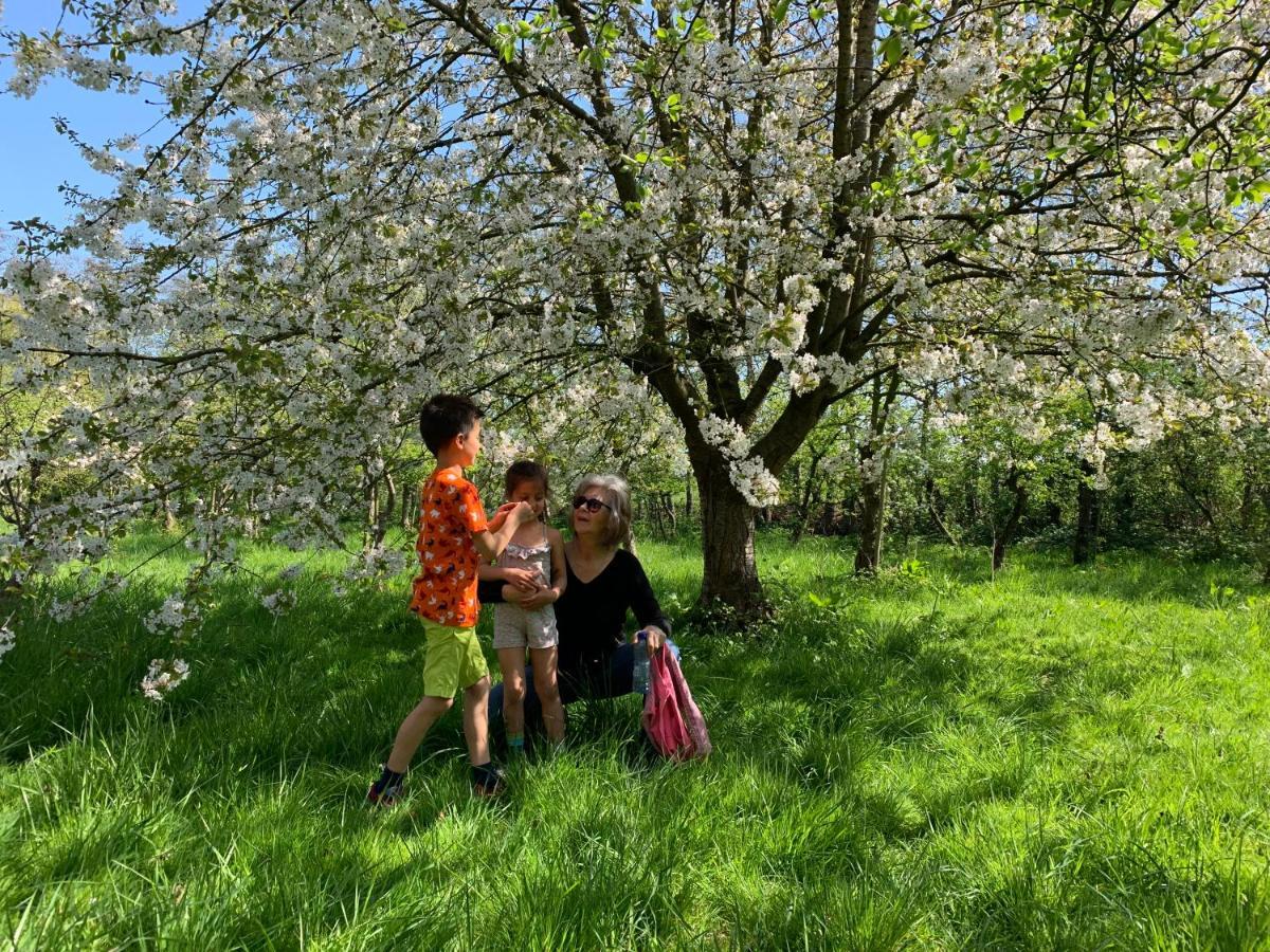 Oostvoornsch Gastenverblijf Oostvoorne Bagian luar foto